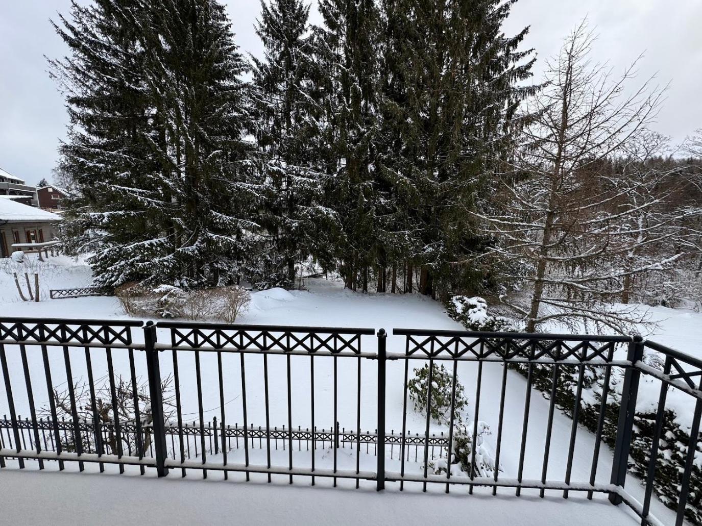 Primum Hotel Braunlage Extérieur photo